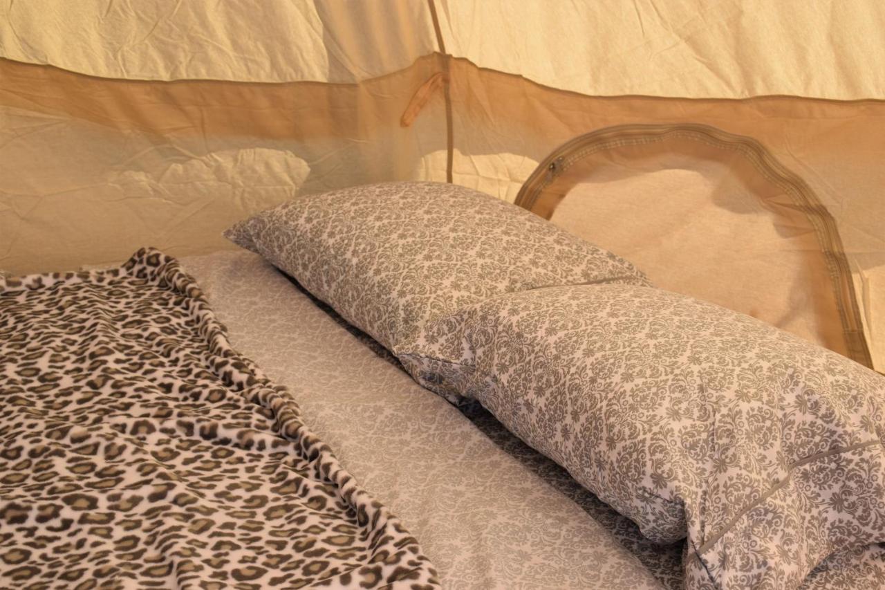 הולברוק Starlight Tent 2 מראה חיצוני תמונה